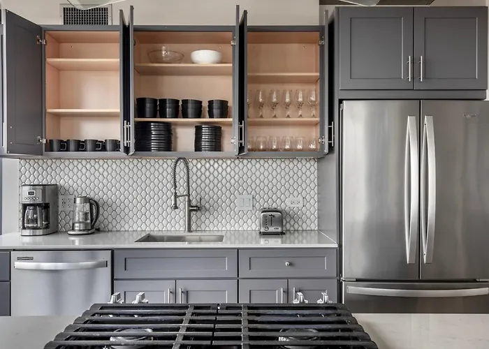 Apartment Lakeview 2br W Gym Grills Nr Lakefront Trail Chi-985 *