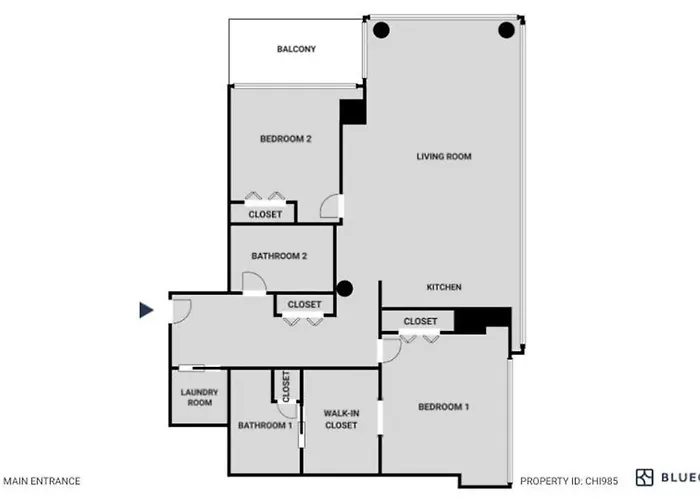 Lakeview 2br W Gym Grills Nr Lakefront Trail Chi-985 Chicago