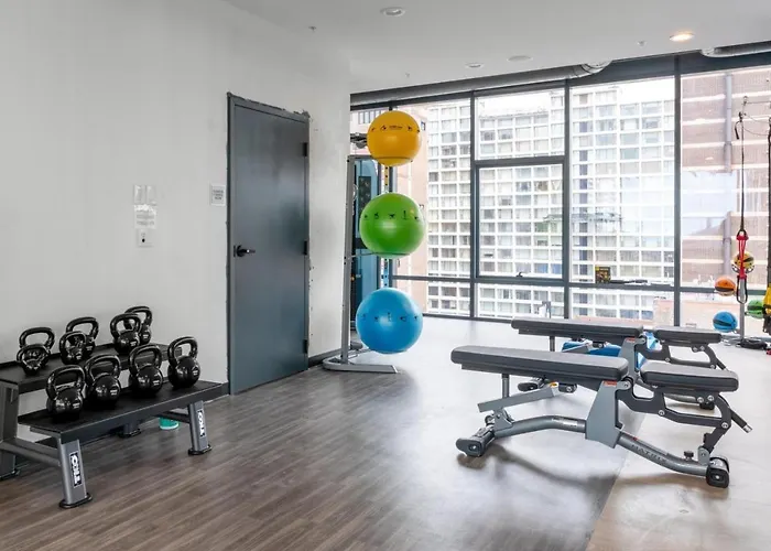 Lakeview 2br W Gym Grills Nr Lakefront Trail Chi-985 Chicago